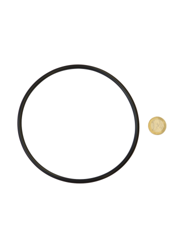 O-Ring (1-Euro zum Größenvergleich)