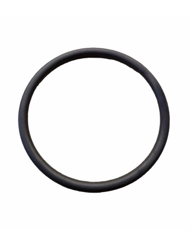 Basis O-Ring für Rückspülfilter F67/F71/manuell