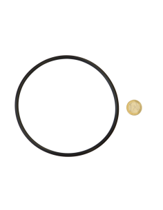 O-Ring (1-Euro zum Größenvergleich)